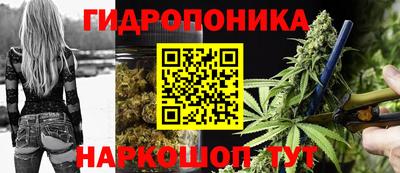 мяу мяу мука Кунгур