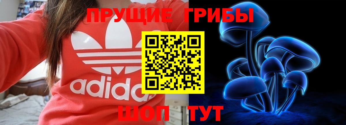 Псилоцибиновые грибы Psilocybine cubensis  Вход с VPN  Каменка 